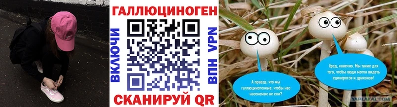 Псилоцибиновые грибы Magic Shrooms Купить закладки Жердевка